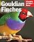 Gouldian Finches: Everythin...