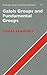 Galois Groups and Fundamental Groups (Cambridge Studies in Advanced Mathematics, Series Number 117)