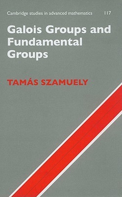 Galois Groups and Fundamental Groups (Cambridge Studies in Advanced Mathematics, Series Number 117)