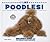 I Like Poodles! (Discover Dogs With the American Canine Association)