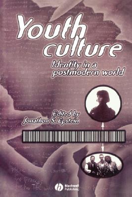 Youth Culture: Identity in a Postmodern World (Paperback)