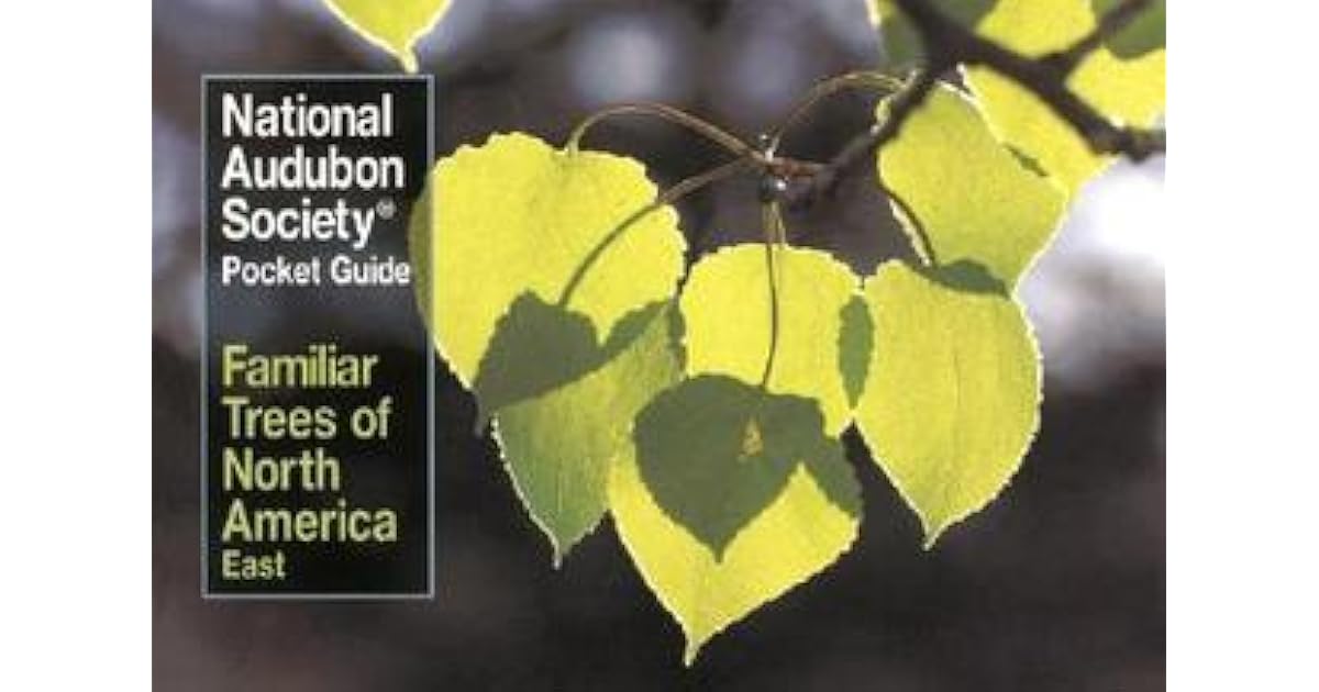 National Audubon Society Pocket Guide to Familiar Trees East by