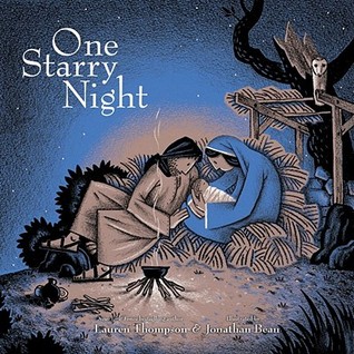 One Starry Night (Library Binding)