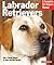 Labrador Retrievers by Kerry V. Kern