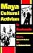 Maya Cultural Activism in Guatemala (LLILAS Critical Reflections on Latin America Series)