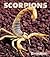 Scorpions by Peter   Murray