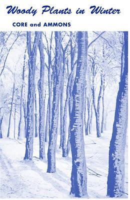 Woody Plants in Winter (Paperback)