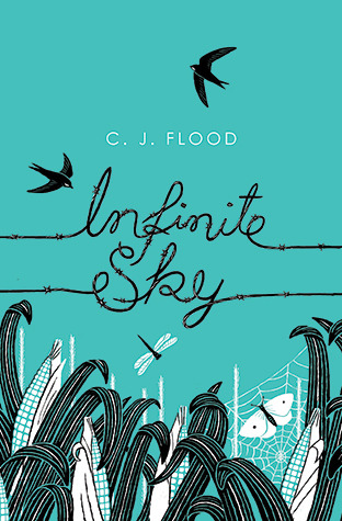 Infinite Sky Infinite Sky 1 By C J Flood