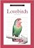 A New Owner's Guide to Love...