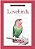 A New Owner's Guide to Lovebirds