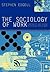 The Sociology of Work: Cont...