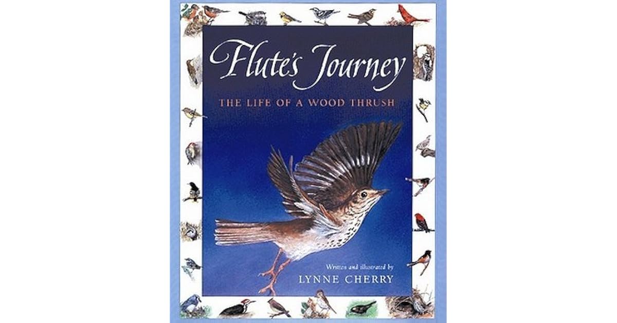 Flute's Journey The Life of a Wood Thrush by Lynne Cherry