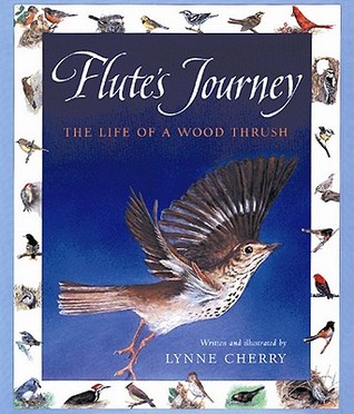 Flute's Journey: The Life of a Wood Thrush (Hardcover)