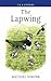The Lapwing (Poyser Monogra...