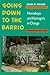 Going Down To The Barrio by Joan W. Moore