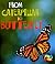From Caterpillar to Butterfly (Heinemann First Library)