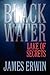 Black Water: Lake of Secrets