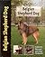 Belgian Shepherd by Robert Pollet