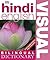 Hindi English Bilingual Vis...