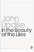 In the Beauty of the Lilies by John Updike In the Beauty of the Lilies by John Updike