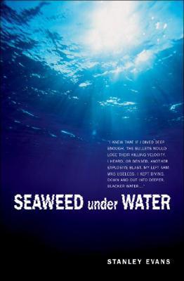 Seaweed Under Water (Touchwood Mystery)