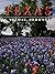 Texas: A Visual Journey (America)