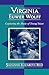 Virginia Euwer Wolff: Capturing the Music of Young Voices (Studies in Young Adult Literature)