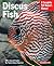 Discus Fish (Complete Pet Owner's Manual)