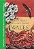 Stories From Wales: Oxford Children's Myths and Legends