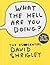 What the Hell Are You Doing?: The Essential David Shrigley