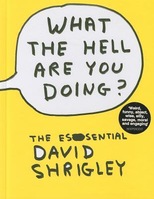 What the Hell Are You Doing?: The Essential David Shrigley (Hardcover)