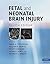 Fetal and Neonatal Brain Injury