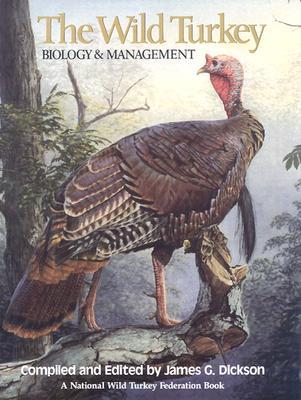Wild Turkey (Hardcover)