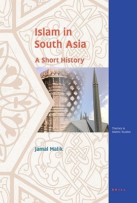 Islam in South Asia: A Short History (Themes in Islamic Studies, 4)