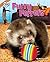 Furry Ferrets (Peculiar Pets)