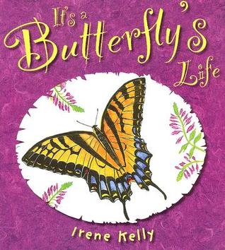 It's a Butterfly's Life (Hardcover)