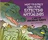 What to Expect When You're Expecting Hatchlings by Bridget Heos