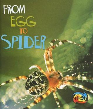 From Egg to Spider (Heinemann First Library)