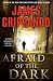 Afraid Of The Dark (Jack Swyteck, #9)
