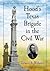Hood's Texas Brigade in the Civil War