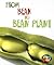 From Bean to Bean Plant