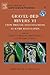 Gravel Bed Rivers 6, Volume 11: From Process Understanding to River Restoration (Developments in Earth Surface Processes)