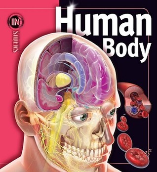 Human Body (Insiders)