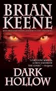 Dark Hollow (Levi Stoltzfus, #1)