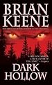 Image for Dark Hollow
