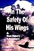 In the Safety of His Wings: A Test Pilots Adventures