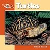Turtles (Our Wild World)