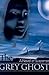 The Grey Ghost: A Novel of Suspense