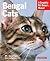 Bengal Cats: Everything Abo...