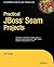 Practical JBoss Seam Projects (Expert's Voice)